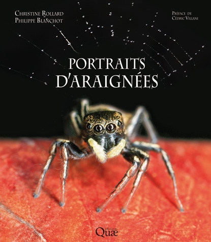Couverture de Portraits d'araign&eacute;es</td>
					  <td class=